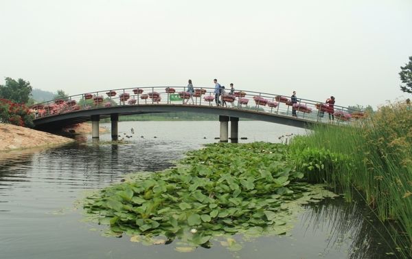 现代景观桥