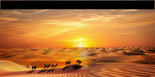戈壁沙漠骆驼png元素素材