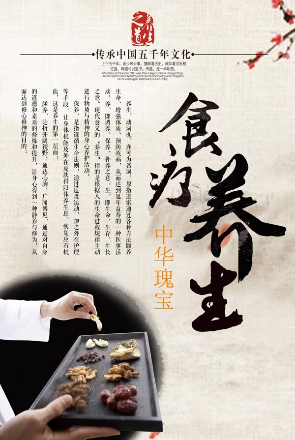 中国风五千年文化食疗海报