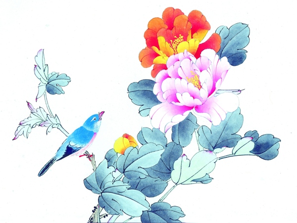 鲜花插画素材图片