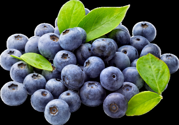免抠蓝莓水果
