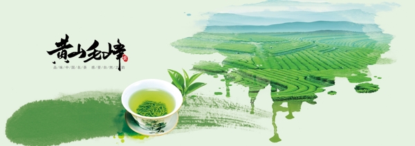 黄山毛峰绿茶茶叶店海报