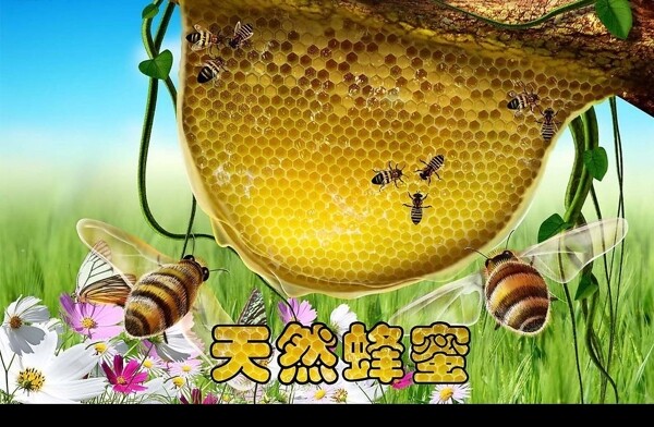 天然蜂蜜图片