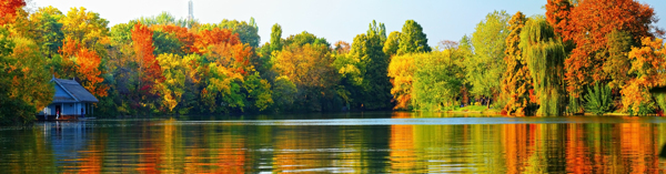 秋天树林湖泊风景图片