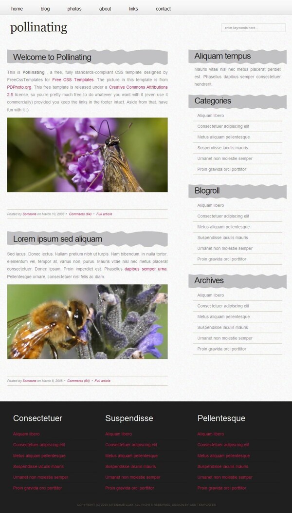 花粉采蜜简洁BLOG网页模板
