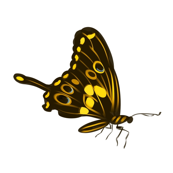 黄色的美丽蝴蝶插画