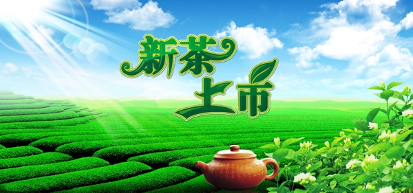 茶园图片