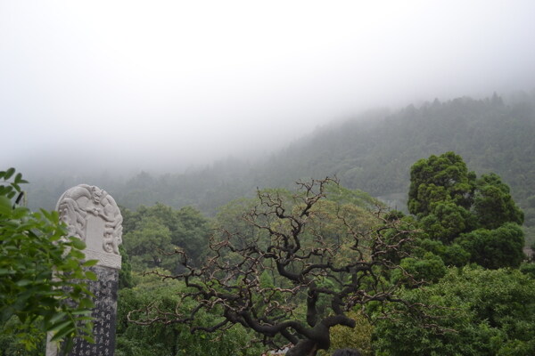 朦胧骊山