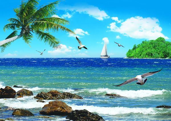 湛蓝海天椰树原创图片