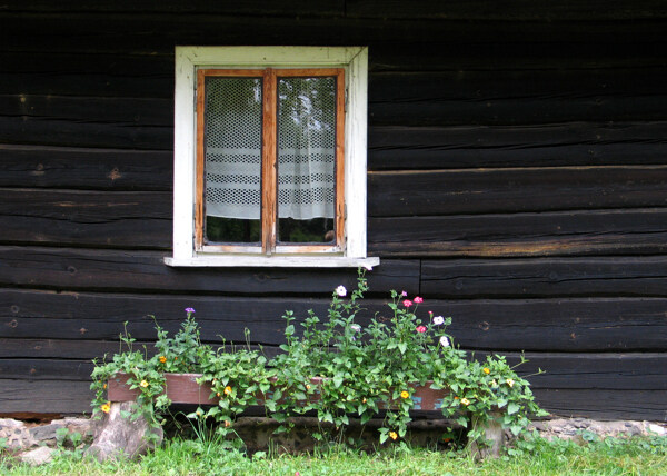 木头房子图片