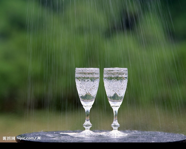 雨中的水晶杯图片