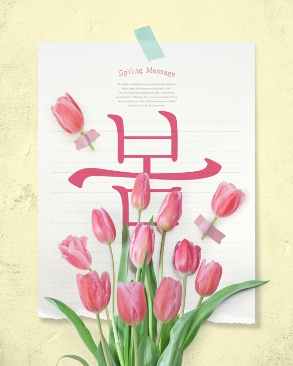 韩式春季郁金香海报模板设计