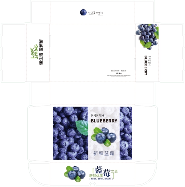 蓝莓包装一体盒设计