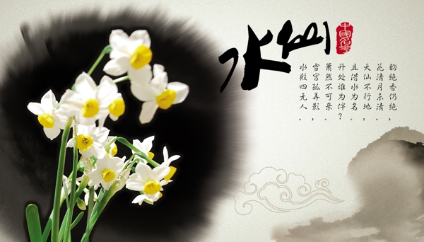 中国名花之水仙图片