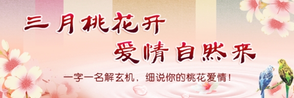 桃花运专题banner