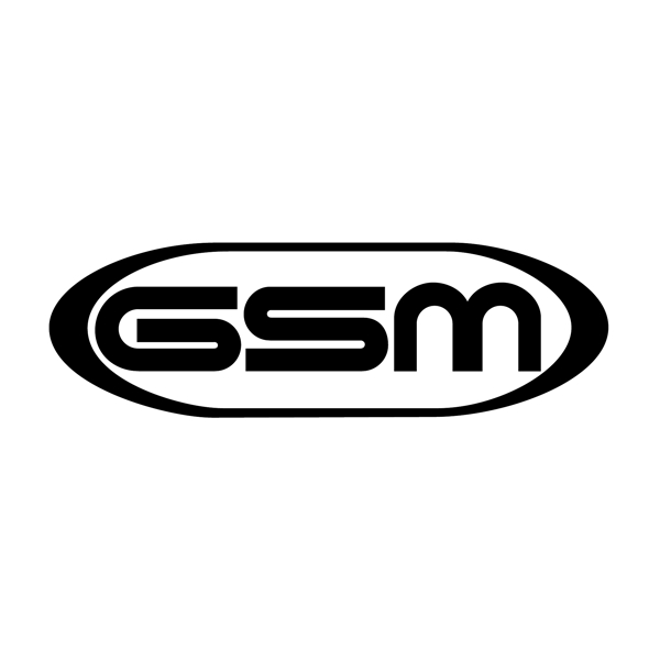 GSM100
