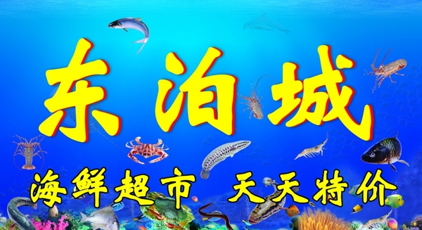 海鲜世界图片