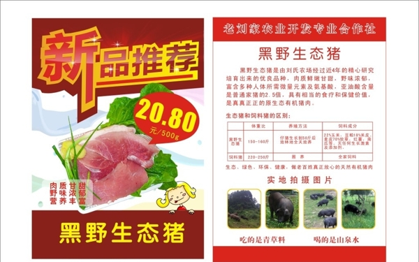 生态野猪肉宣传海报