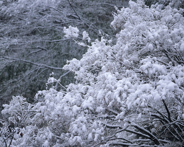 冬天雪景