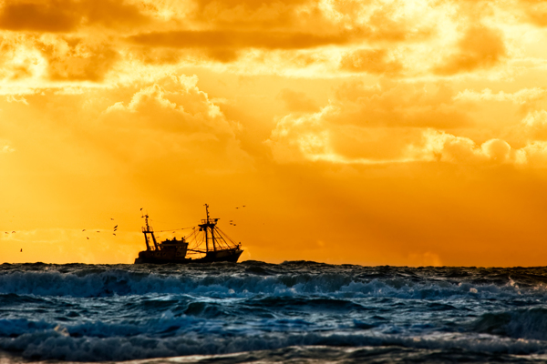 黄昏海面上的渔船摄影高清图片