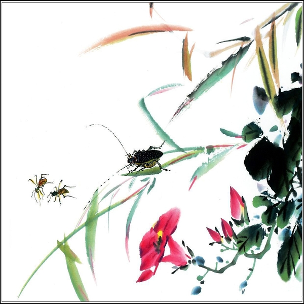 昆虫花朵装饰画