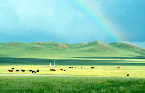 内蒙古锡林格勒草原