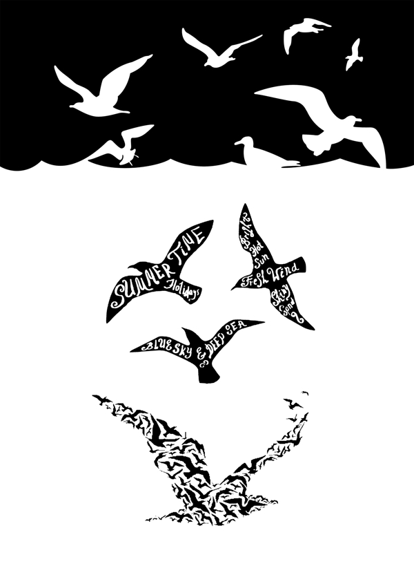 海洋系类黑白色海鸥
