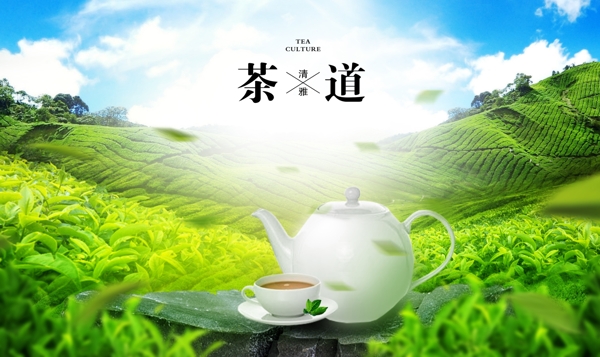 茶道品茶