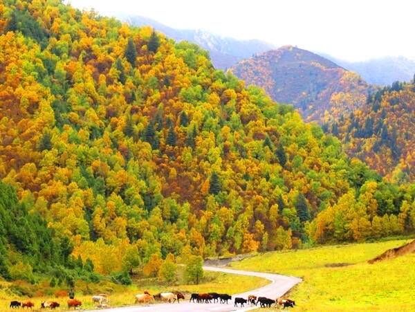 青海北山图片