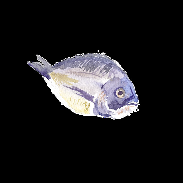 蓝色水彩手绘金鱼透明素材