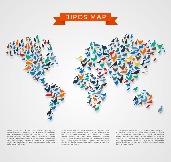 鸟类分布地图