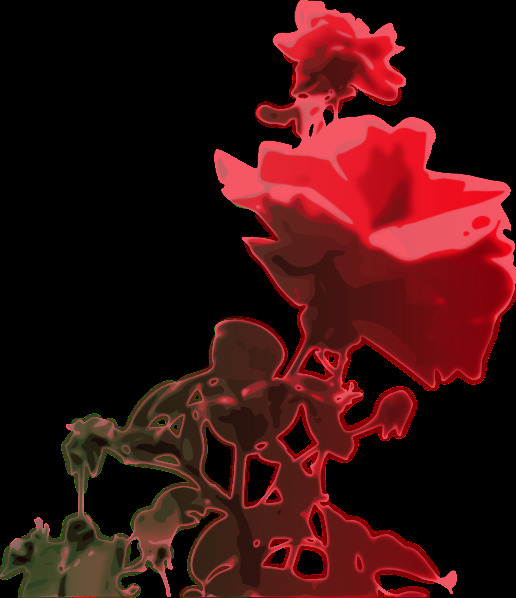 玫瑰的剪辑艺术