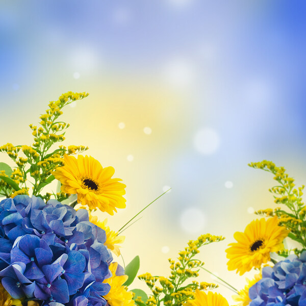 鲜花与梦幻光斑背景图片
