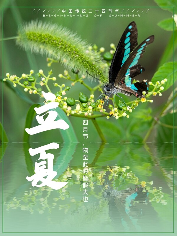 二十四节气之蝴蝶立夏海报