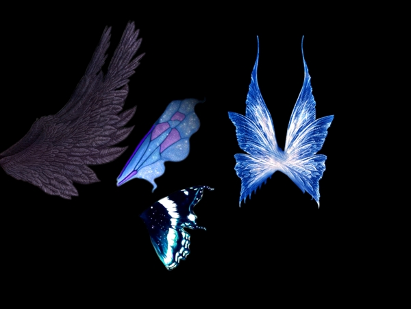 4款翅膀图片
