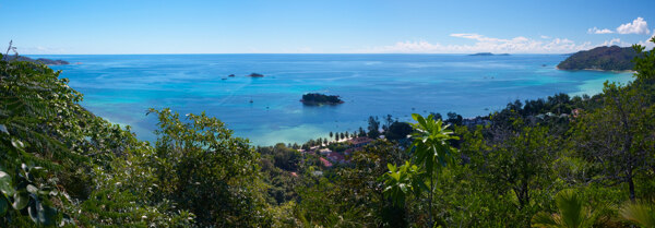 热带海岛海滩图片