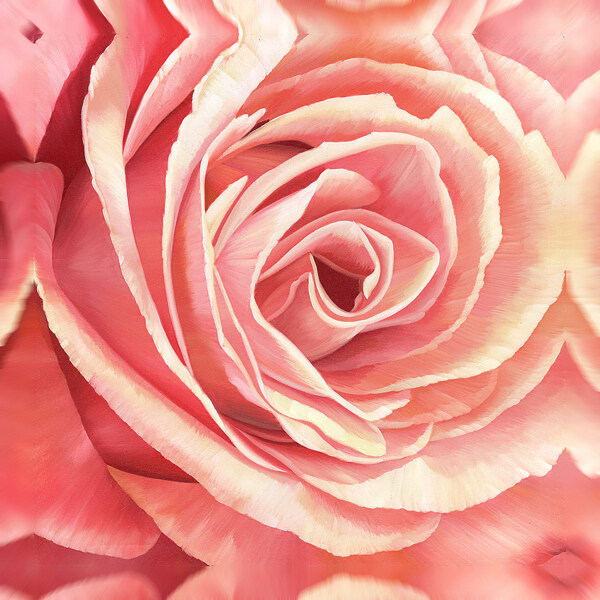 玫瑰花装饰画图片