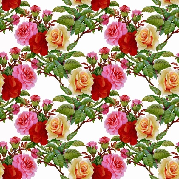 浪漫唯美的三色玫瑰花背景