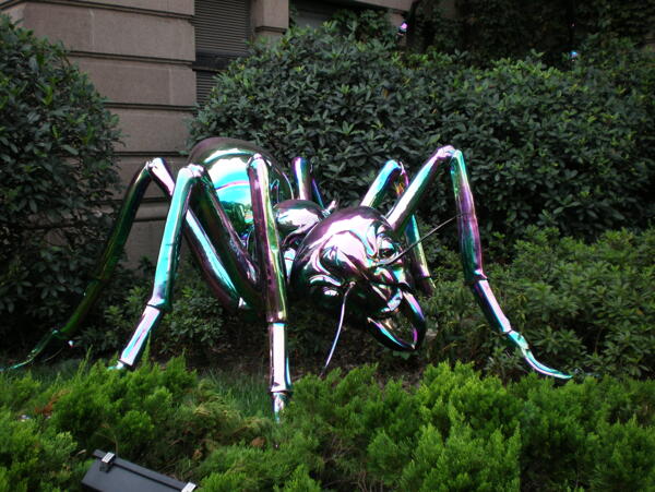 2008上海双年展五彩蚂蚁图片