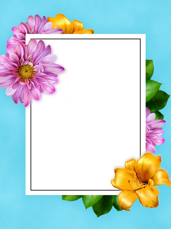 全原创花卉植物卡片背景