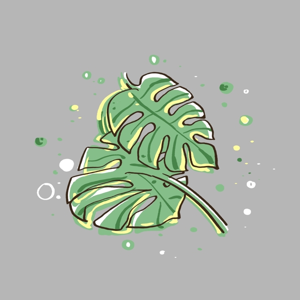 夏季清新植物龟背竹