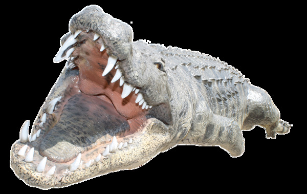 鳄鱼嘴巴图片免抠png透明图层素材