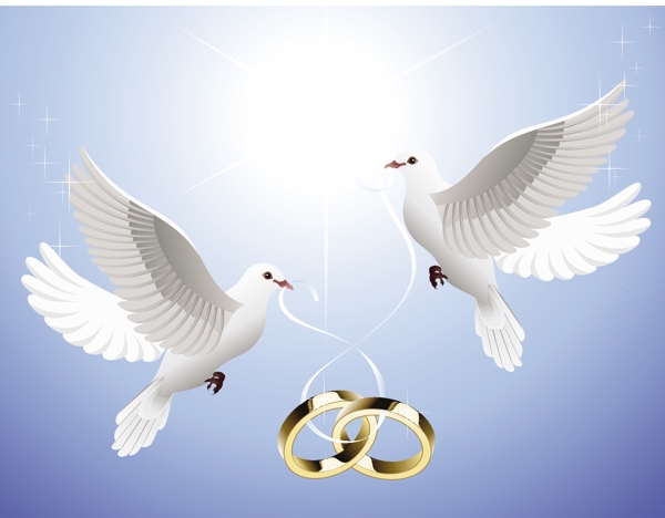 和平婚礼白鸽