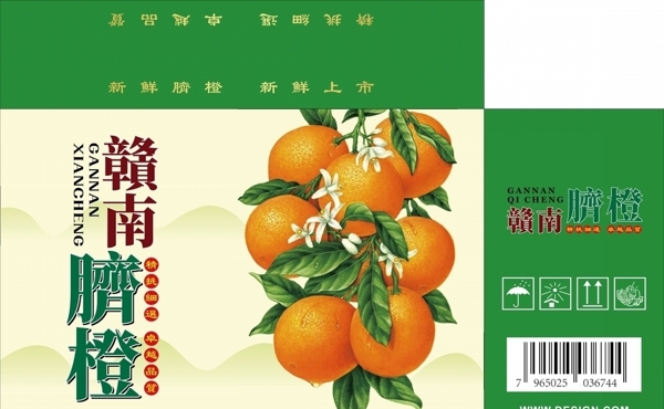 矢量橙子水果包装箱