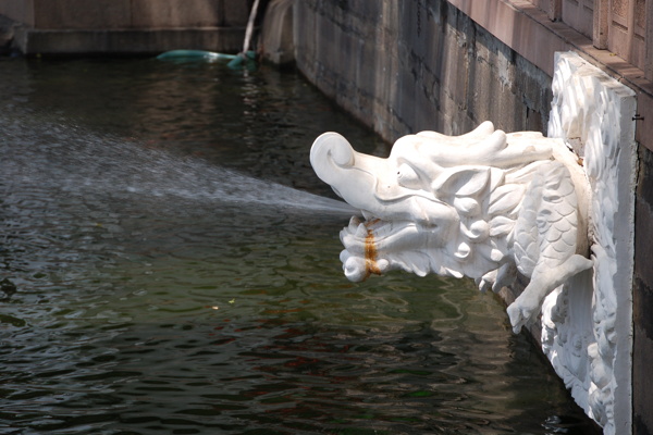 传统建筑水池中的喷水龙图片