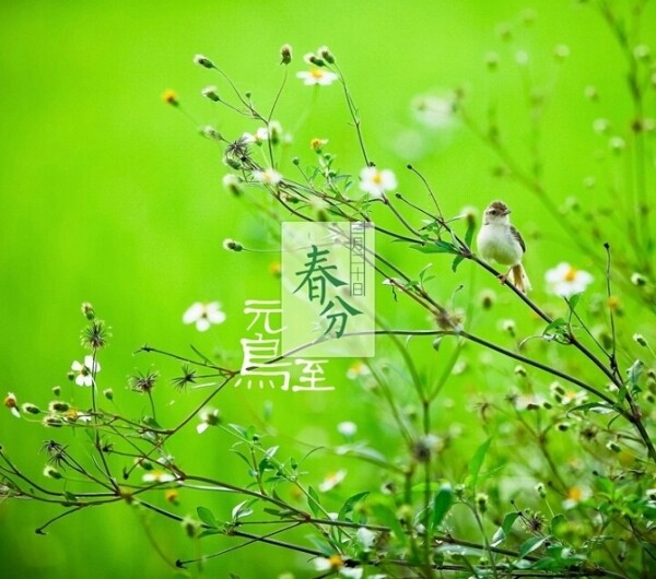 中国传统二十四节气