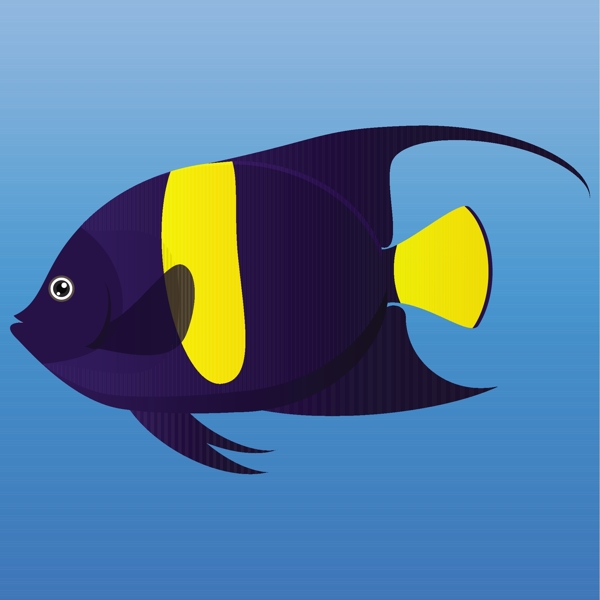 一种黄色和蓝色天使鱼在蓝色背景矢量插图