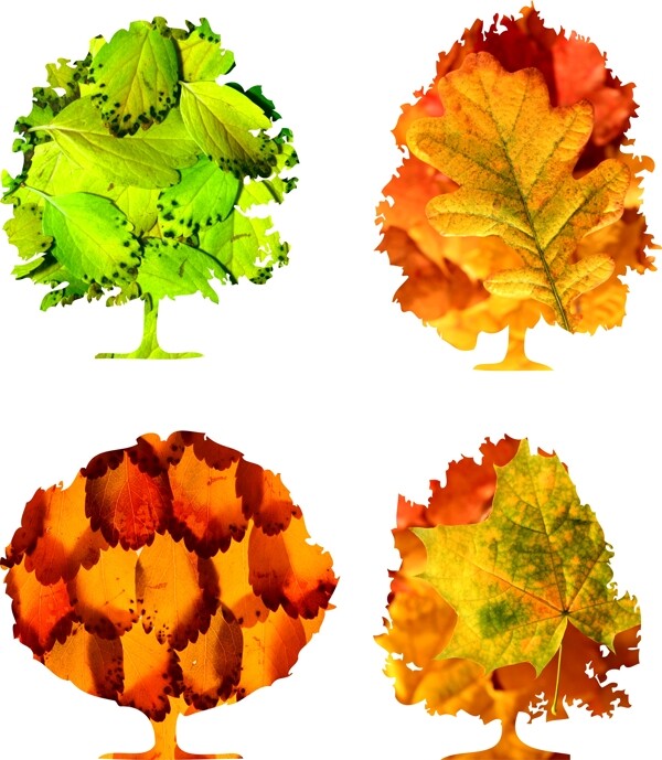 树叶与树创意图案图片