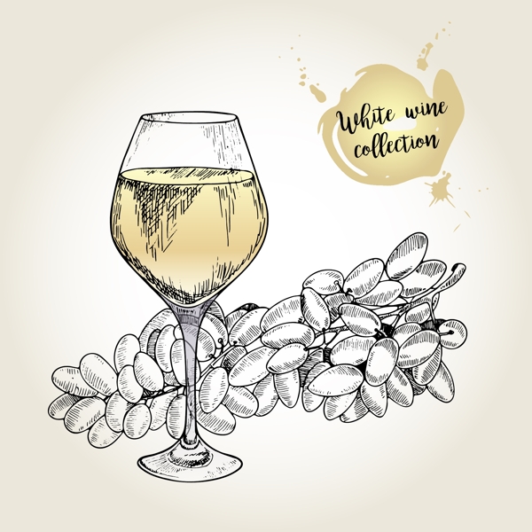 手绘葡萄和葡萄酒插画