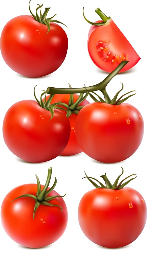 卡通番茄西红柿矢量素材